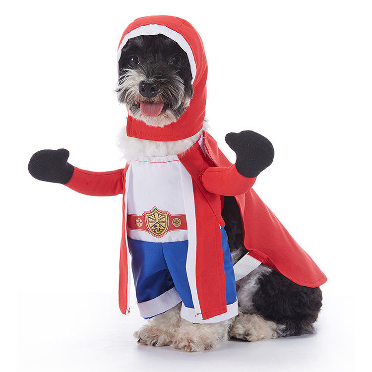 Disfraces de Halloween para Perros