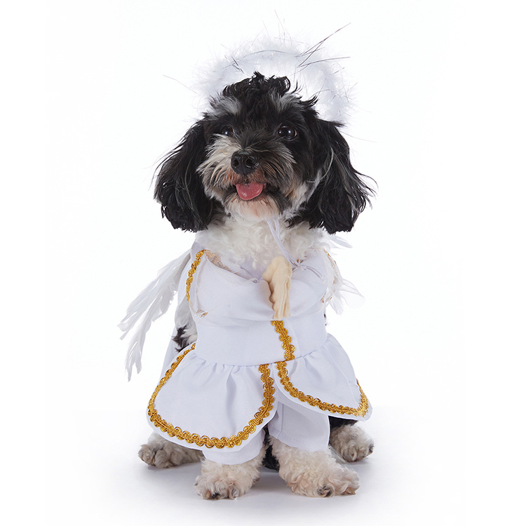 Disfraces de Halloween para Perros