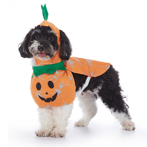 Disfraces de Halloween para Perros