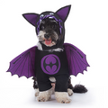 Disfraces de Halloween para Perros