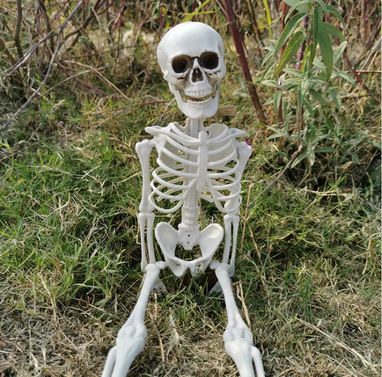 Esqueleto Realista de Halloween
